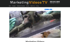 Marketingvideos.tv thumbnail