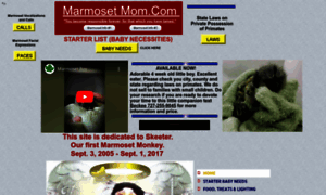 Marmosetmom.com thumbnail