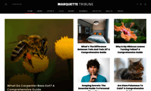 Marquettetribune.org thumbnail