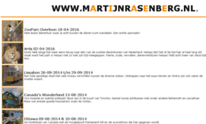 Martijnrasenberg.nl thumbnail