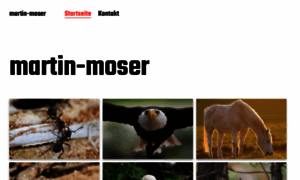 Martin-moser.ch thumbnail