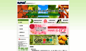 Maruei-group.com thumbnail