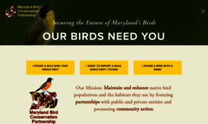 Marylandbirds.org thumbnail