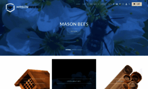 Masonbeesforsale-com.myshopify.com thumbnail