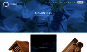 Masonbeesforsale.com thumbnail