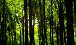 Mattstephens.co.uk thumbnail
