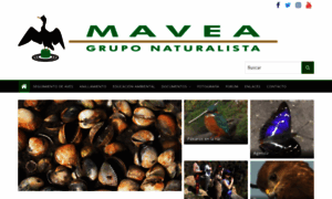 Mavea.org thumbnail