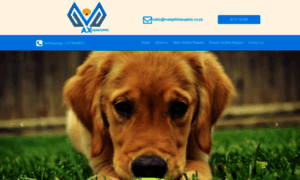 Maxgoldenpuppies.co.za thumbnail