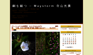 Maystorm.net thumbnail