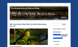 Meadowblog.net thumbnail