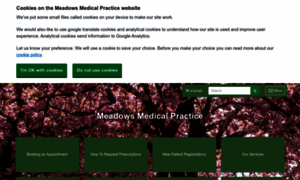 Meadowsmedicalpractice.scot.nhs.uk thumbnail