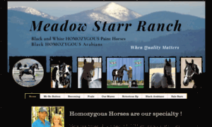 Meadowstarr-ranch.com thumbnail