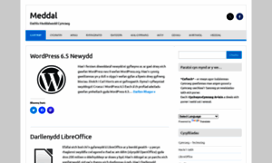 Meddal.com thumbnail