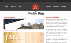 Media-bug.co.uk thumbnail