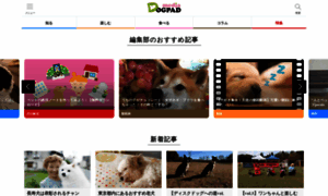 Media.dogpad.jp thumbnail