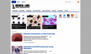 Medical-labs.net thumbnail