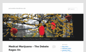 Medicalmarijuana4maine.us thumbnail