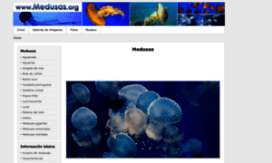 Medusas.org thumbnail