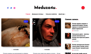 Meduza4u.ru thumbnail