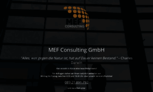 Mef-consulting.de thumbnail