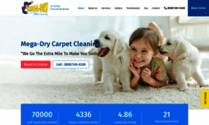 Megadrycarpetcleaning.com thumbnail