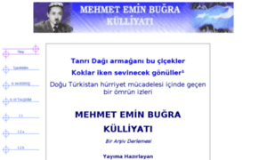 Mehmeteminbugra.biz thumbnail