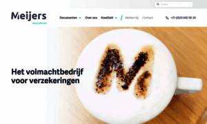 Meijersassuradeuren.nl thumbnail