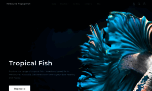 Melbournetropicalfish.com.au thumbnail