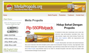 Meliapropolis.org thumbnail