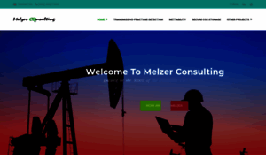 Melzerconsulting.com thumbnail