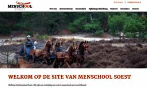 Menlessen.nl thumbnail