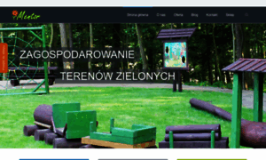 Mentor-polska.pl thumbnail