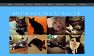 Meowhousecatrescue.com thumbnail