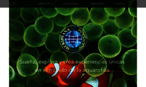 Meridiana-aquarium.com thumbnail