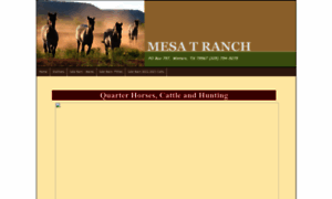 Mesatranch.com thumbnail