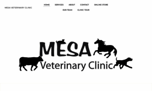 Mesavetclinic.com thumbnail