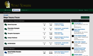 Meseyosunu.com thumbnail