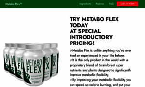 Metabo--flex.com thumbnail