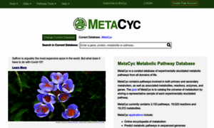 Metacyc.org thumbnail