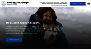 Metelitsa-team.ru thumbnail