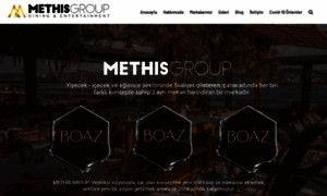 Methisgroup.com.tr thumbnail