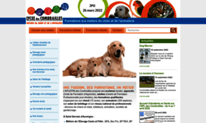 Metiers-chien-animalerie.fr thumbnail