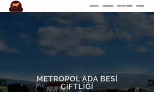 Metropoladabesiciftligi.com thumbnail