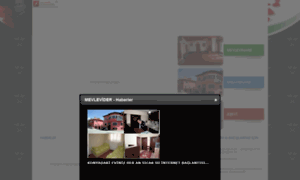 Mevlevider.net thumbnail