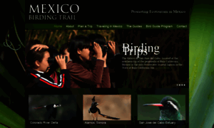 Mexicobirdingtrail.org thumbnail