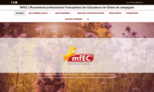 Mfec.fr thumbnail