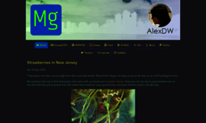 Mgzi.net thumbnail