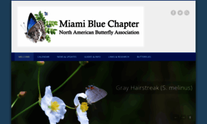 Miamiblue.org thumbnail