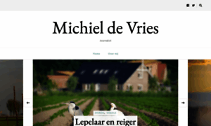Michieldevries.nl thumbnail