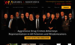 Michigan-drug-attorney.com thumbnail